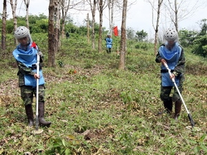 นาย Vu Xuan Hong นายกสมาคมองค์กรมิตรภาพวน.ให้การต้อนรับคณะผู้แทนPeace Trees VN